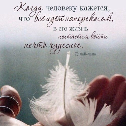 Helgi-di-sacred - 23  2015  07:22