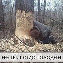 ���� ����, ��������, 40 ��� - ��������� 15 ���� 2015 � ������ ������ ��������