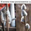 ���� ���, �������, 48 ��� - ��������� 28 ������ 2015 � ������ �.....�