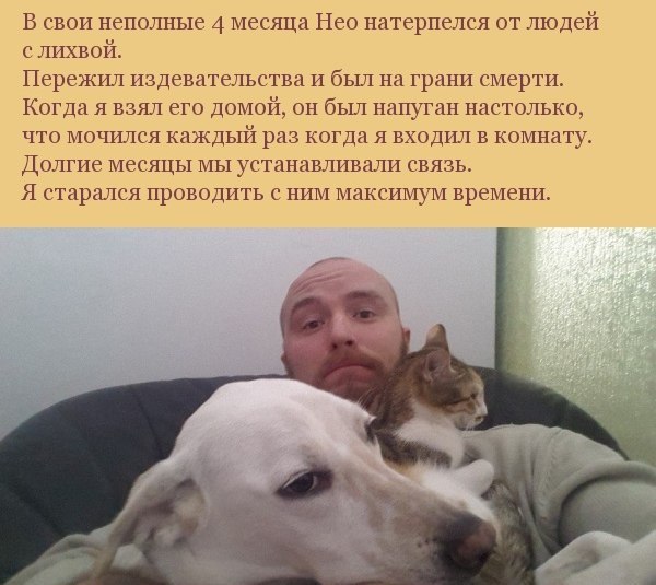   ,      - 2