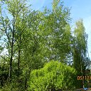 ���� ��������, ������� ��������, 24 ���� - ��������� 12 ��� 2015 � ������ ������ ��������
