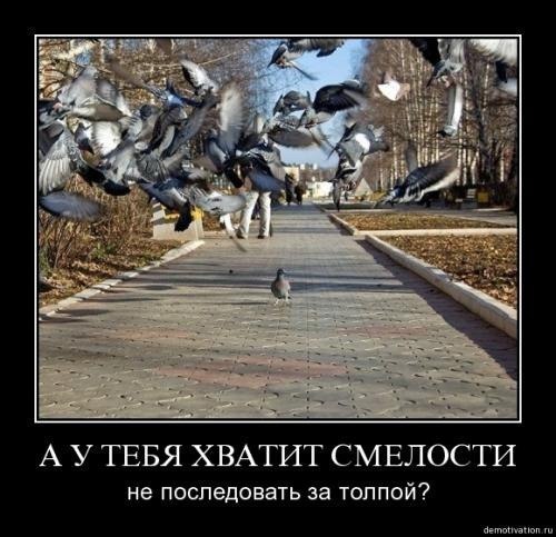   ! - 30  2015  11:34