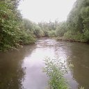 ���� Xylio, ���������, 54 ���� - ��������� 4 �������� 2015 � ������ ���� ����������