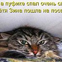 ���� T���, ��������, 71 ��� - ��������� 19 ��� 2015 � ������ ������ ��������