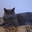   ,       .   &ndash;        .   &ndash;        .      ,      &hellip;    