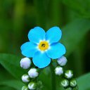 ���� �����, �����, 64 ���� - ��������� 9 ���� 2015 � ������ ����� ���� ���� (07.06.2015)�