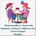 ���� �����, ������ - ��������� 1 �������� 2015 � ������ ���� ����������