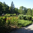  , -, 57  -  20  2015    2015