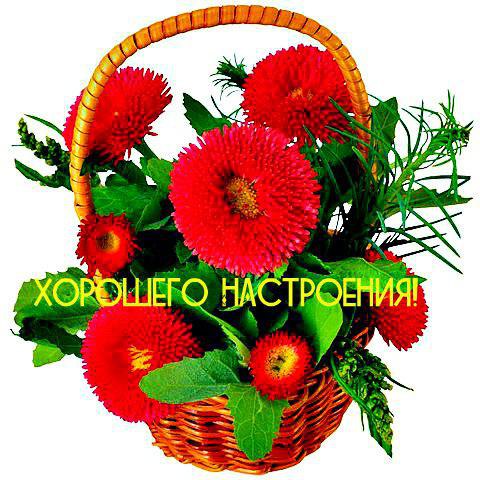 ������� - 31 ������� 2015 � 10:13