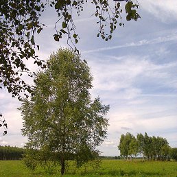 ����, ����, 58 ���