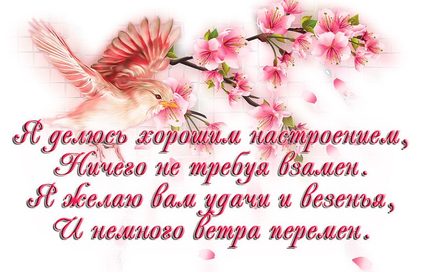  - 13  2015  14:31