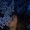 ���� �����, ������, 51 ��� - ��������� 10 ���� 2015 � ������ ������ ��������