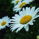 ���� �������, ������ - ��������� 10 ���� 2015 � ������ ������ ��������