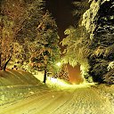 ���� �����, ����������, 59 ��� - ��������� 31 ��� 2015 � ������ ������ ��������