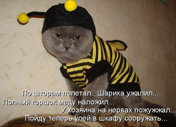       - 20  2015  10:32