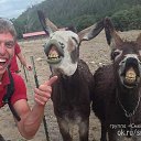 ���� ������, �����-���������, 57 ��� - ��������� 24 ���� 2015 � ������ ���� ����������