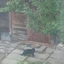 ���� ���� �����, �����-��������� - ��������� 16 �������� 2015 � ������ �������