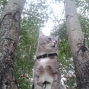  ♥♥, - -  30  2015    