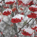 ���� �������, ������, 65 ��� - ��������� 5 �������� 2015 � ������ ���� ����������