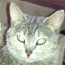 ���� ����, ������, 41 ��� - ��������� 18 ���� 2015 � ������ ���� ����������