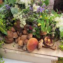  , -- -  14  2015    2015