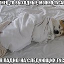 ���� �����, �����, 48 ��� - ��������� 21 ������� 2015 � ������ �12�