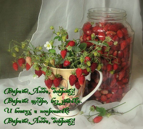 ��������� ������ (�������) - 21 ���� 2015 � 05:11
