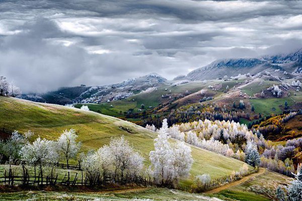    National Geographic      ... - 8