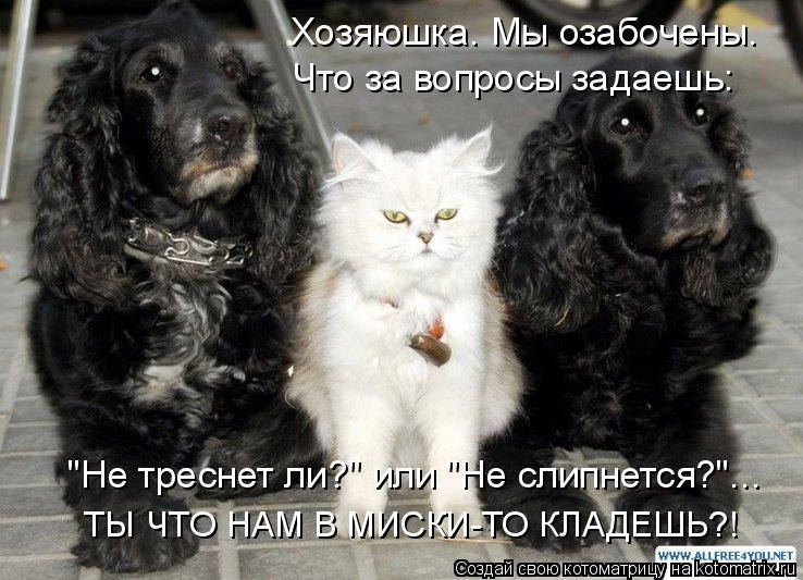 ����� �������� - 20 ���� 2015 � 10:31