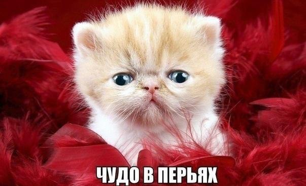  -  - 3  2015  14:25
