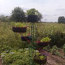 ���� �����, ������, 53 ���� - ��������� 15 ��� 2015 � ������ ���� ����������