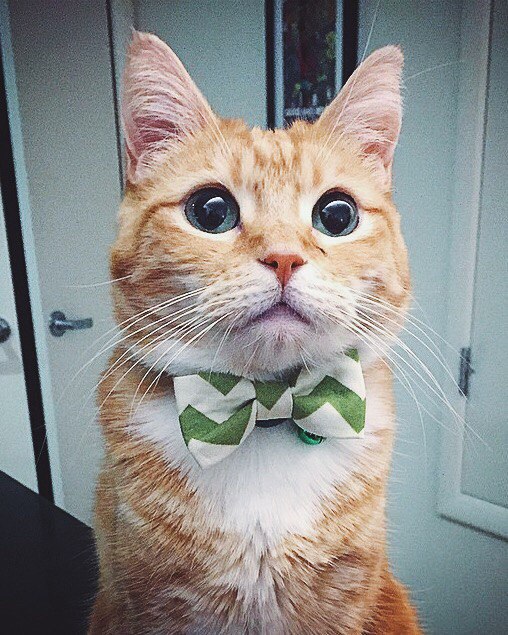 ������ - 21 �������� 2015 � 14:25 - 2