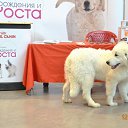 ���� �������� �� �������...., ���, 53 ���� - ��������� 19 ���� 2015 � ������ ���� ����������