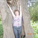  ,  -  23  2015    2015