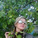  Veronika, , 50  -  17  2015    