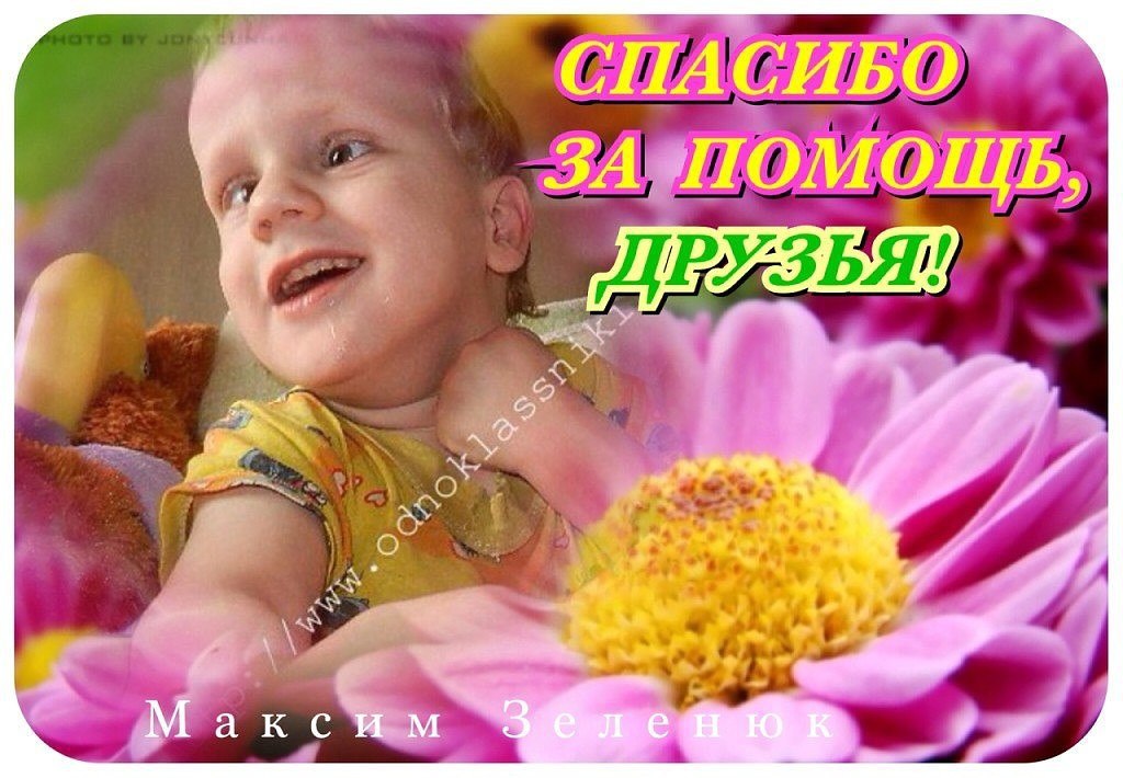  !!! .     19.11.2010..   ... - 2