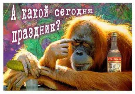 365 поводов выпить.Январь1 января - Новый год. Всемирный день мира.2 января - В России объявлено о ...