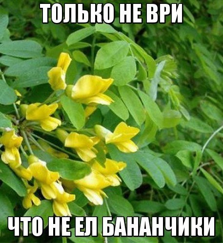 ☆☆☆  XX  ☆☆☆ - 11  2015  08:30