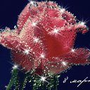 ���� ������� ������, �����������, 67 ��� - ��������� 8 ����� 2016 � ������ ������ ��������