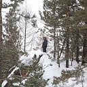 ������ �� ������� ���� ����������