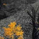 ���� ������, ������, 66 ��� - ��������� 10 ������� 2016 � ������ ���� ����������