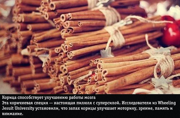 ÏÐÈÐÎÄÍÛÅ ÀÐÎÌÀÒÛ, ÍÅÎÆÈÄÀÍÍÎ ÌÅÍßÞÙÈÅ ÝÌÎÖÈÎÍÀËÜÍÎÅ ÑÎÑÒÎßÍÈÅ - 2