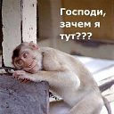 ���� �������, ������� - ��������� 22 ������ 2015 � ������ ������ ��������