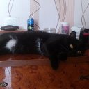 ��� ��, ��� ���� ������ ����!!!! �� ������� ������ ��������