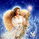 ���� ��������, ����� ��������, 63 ���� - ��������� 8 ������ 2016 � ������ ������ ��������