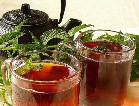 Средства и травы, выводящие мокроту из легких и бронхов: Рецепт первый. Для того чтобы приготовить ...
