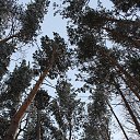  , , 69  -  8  2016   .  