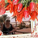  S V € T L @ N @,  -  6  2016    