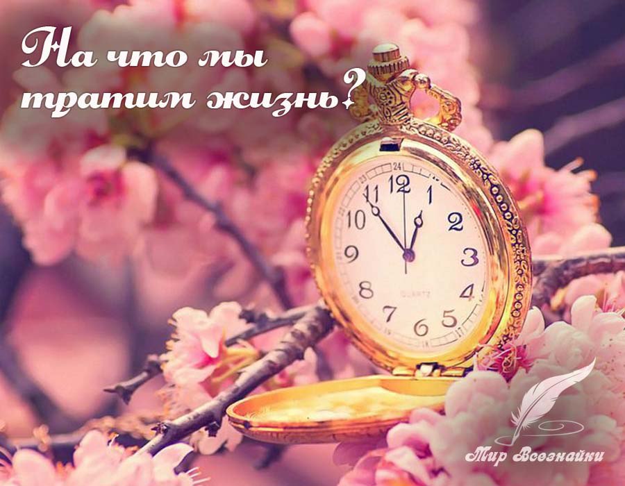 На что мы тратим жизнь? На мелочные ссоры, На глупые слова, пустые разговоры, На суету обид, на ...