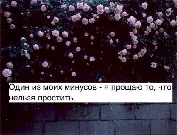 . - 11  2016  00:03
